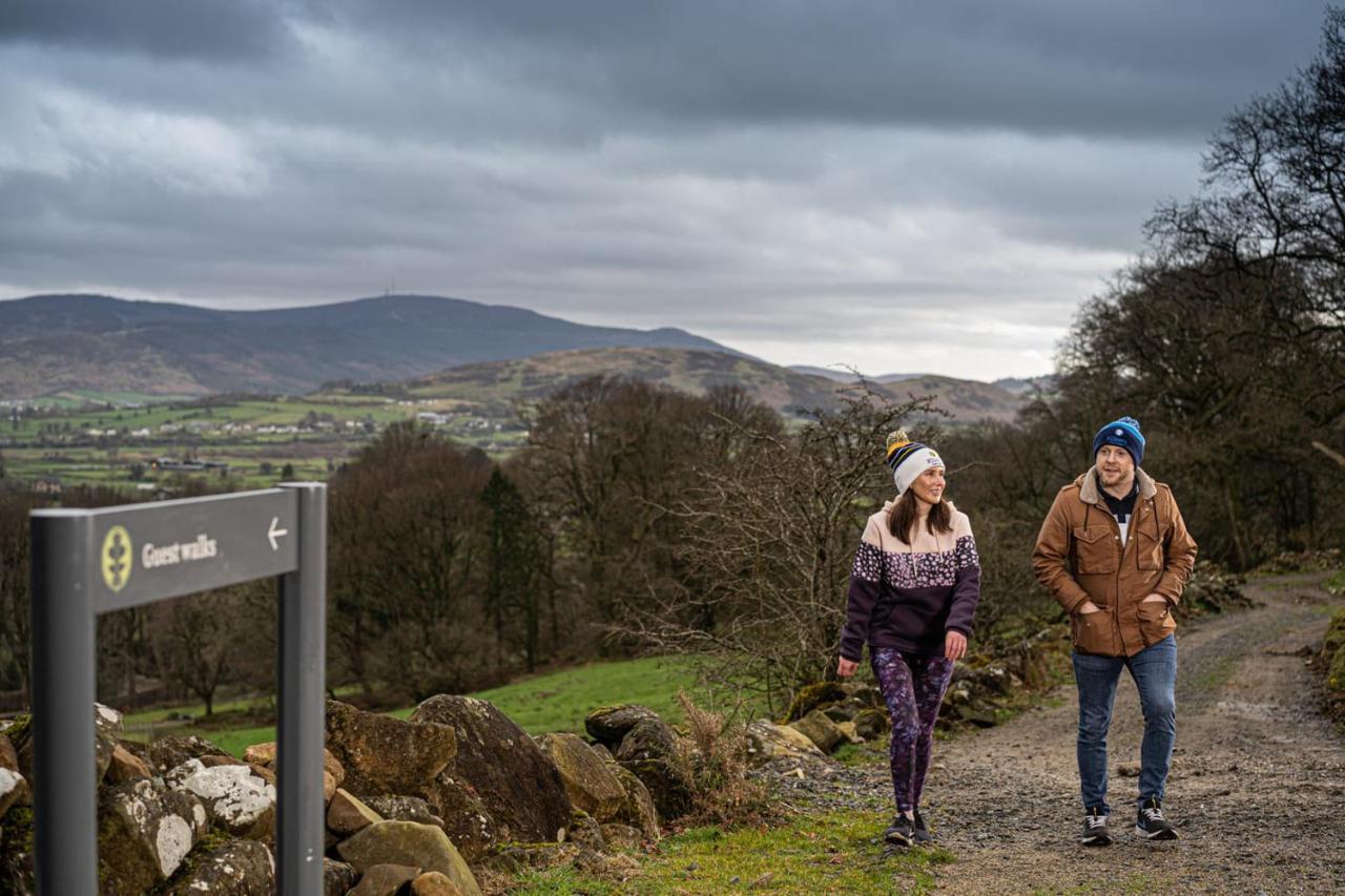 Готель Killeavy Castle Estate Meigh Екстер'єр фото